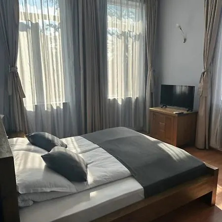 Hotel Hotel Vidin 3*