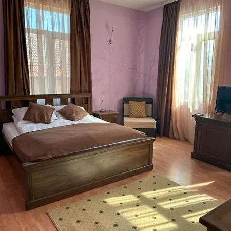 Hotel Vidin 3*
